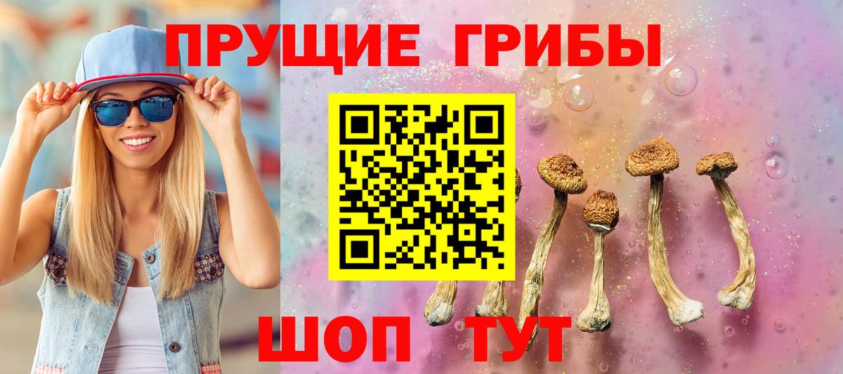 Галлюциногенные грибы прущие грибы  купить  сайты  Галлюциногенные грибы прущие грибы  Камень-на-Оби  Вход с VPN 