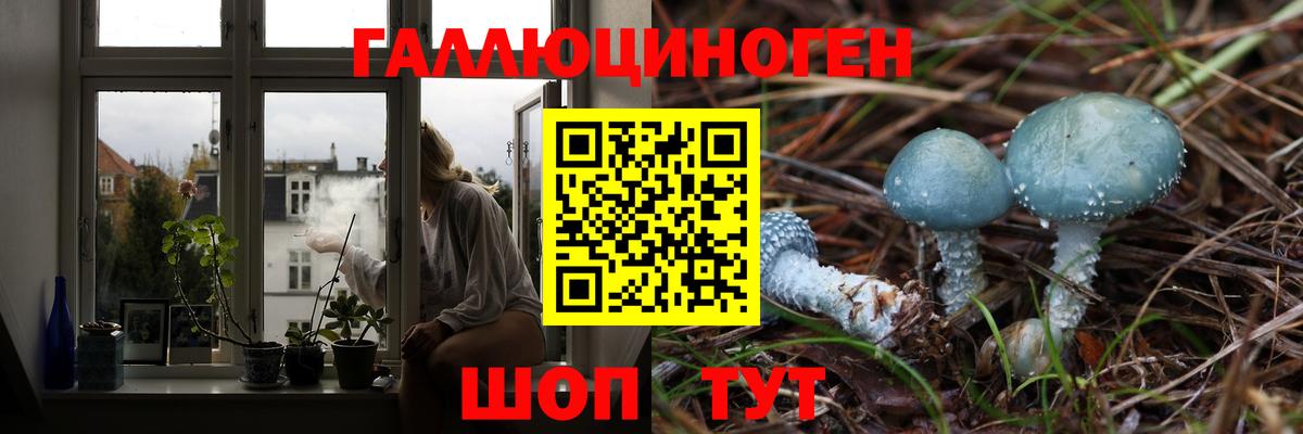 ГАШ  ГАШИШ  Бошки Шишки  Кокаин  Камень-на-Оби  ТГК  Вход с VPN  A PVP СК кристаллы  Бошки Шишки  LSD-25  Меф  Меф МЯУ МЯУ  